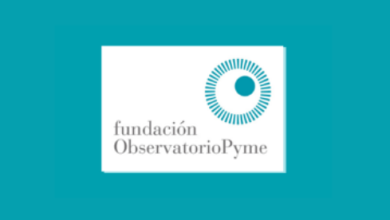 logo observatorio pyme